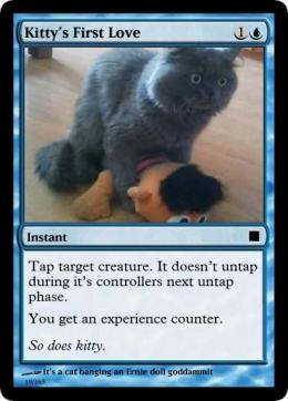 Kittys First Love